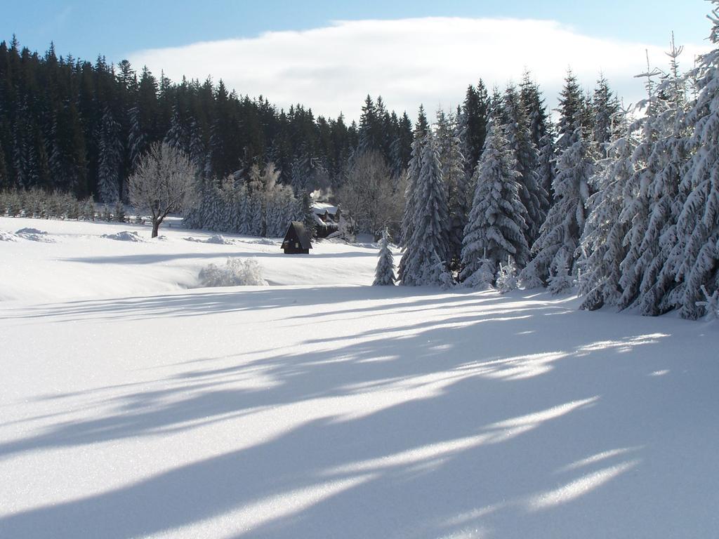 Chata Pod Koberstejnem Rejvíz Exterior foto